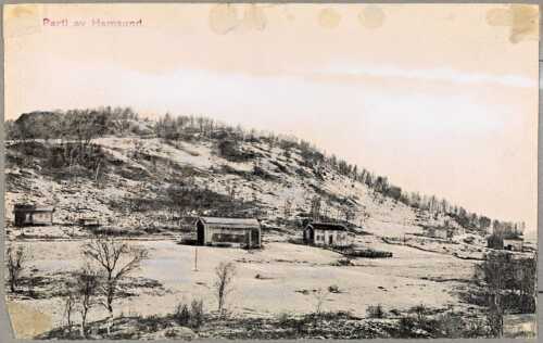 Familien flyttet i 1862 fra Lom i Gudbrandsdalen til gården Hamsund på Hamarøy i Nordland. De ank