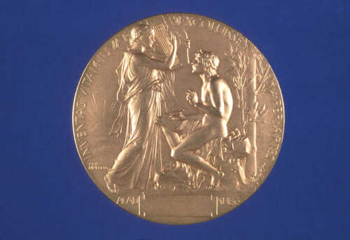 Nobelprismedaljen for litteratur er designet av Erik Lindberg. Medaljens baksiden (revers) har inskr